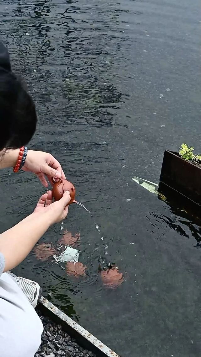 图片 6