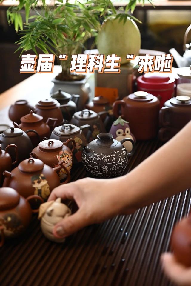 壶届“理科生”来啦!