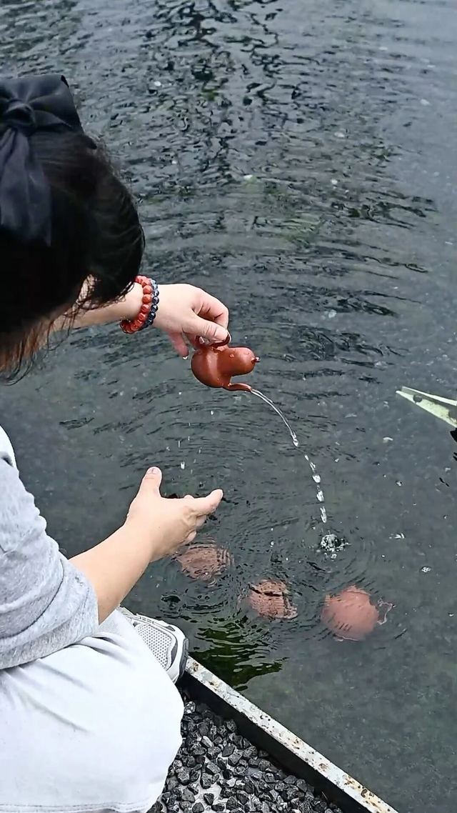 图片 5