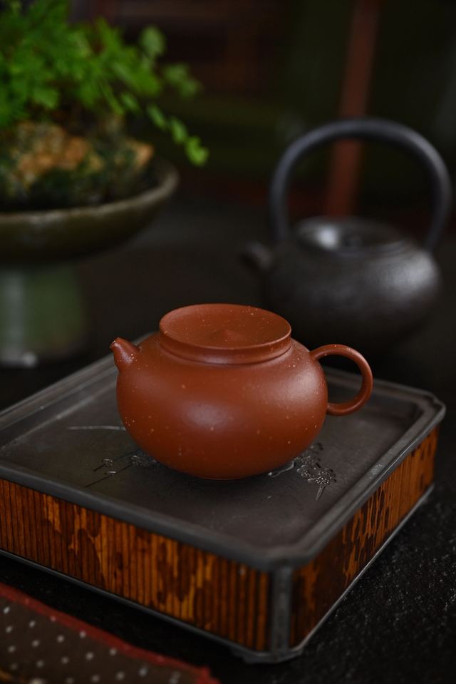 现代茶器|一把小壶,藏一份静心